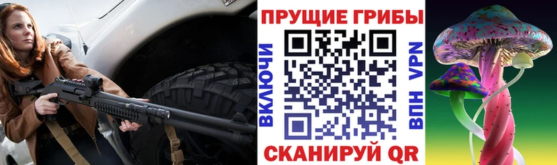 Псилоцибиновые грибы Psilocybe  Западная Двина 
