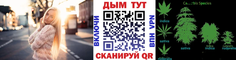 блэк спрут зеркало  Западная Двина  Шишки марихуана планчик 